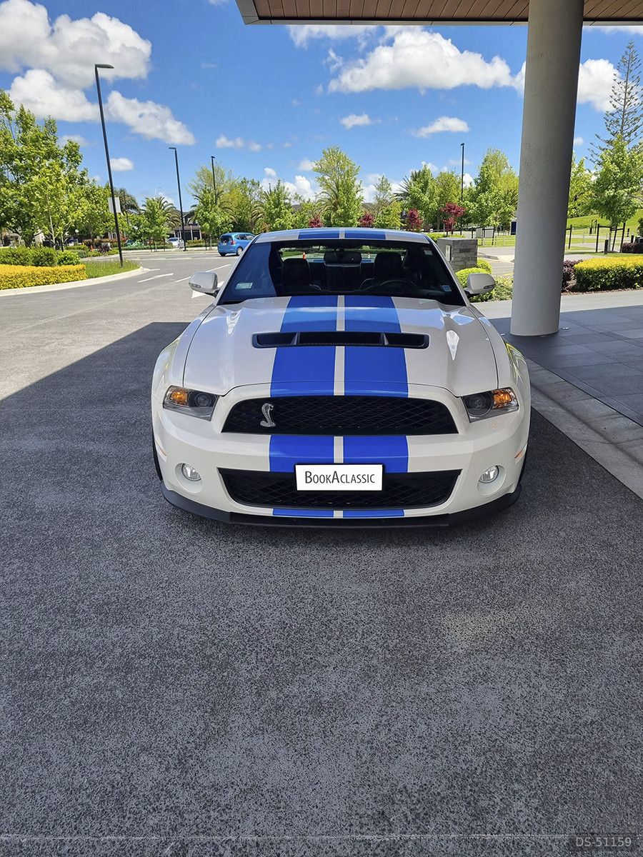 2010 Ford Mustang Shelby GT500 in Auckland 2