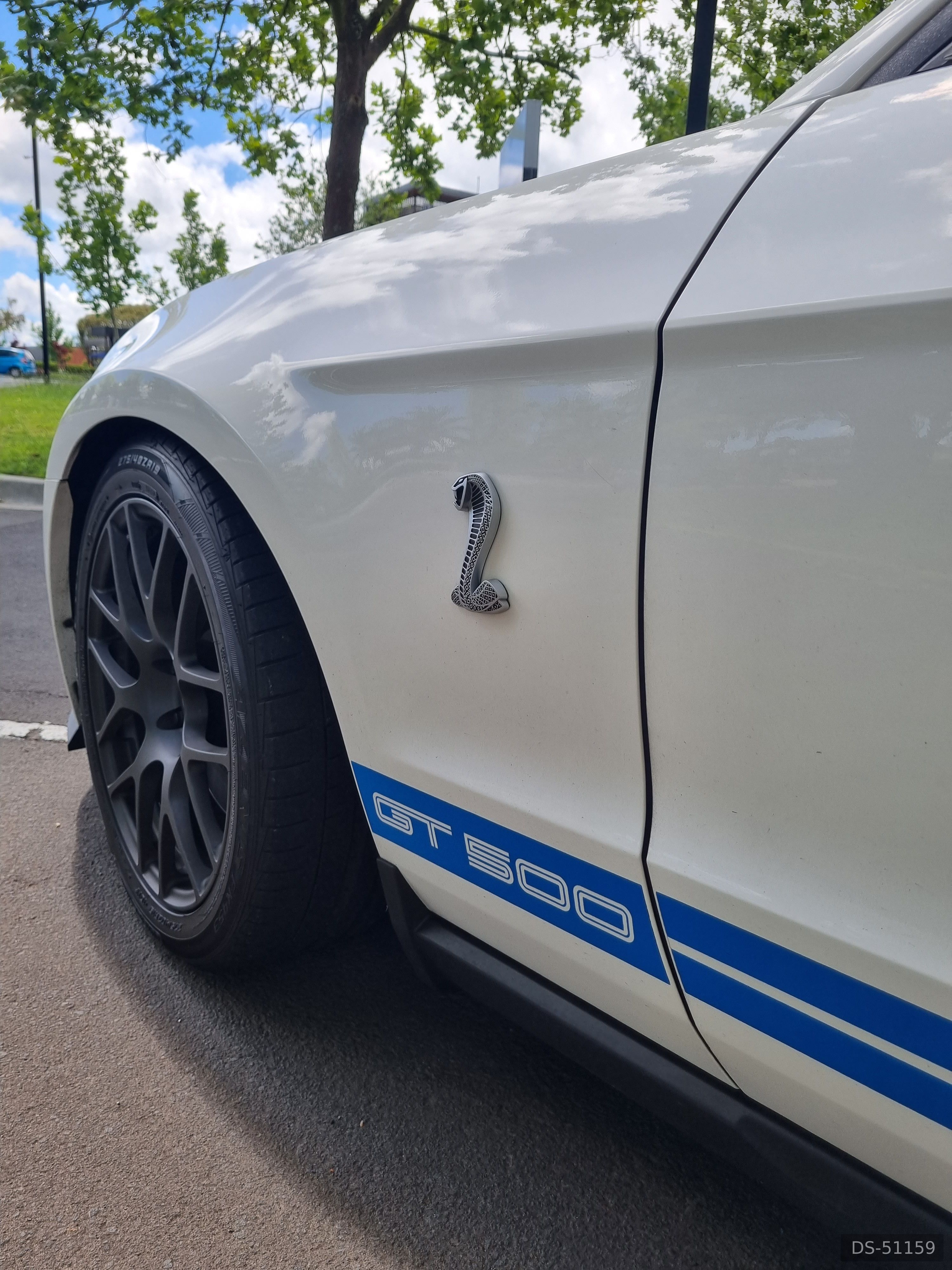 2010 Ford Mustang Shelby GT500 in Auckland 3