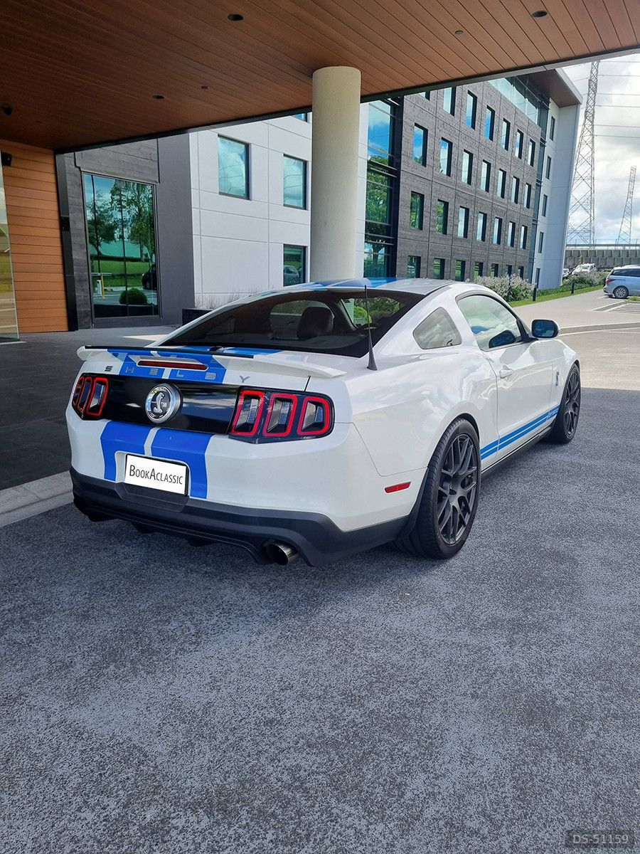 2010 Ford Mustang Shelby GT500 in Auckland 4